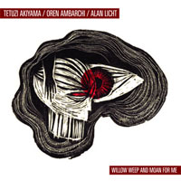 Tetuzi Akiyama / Oren Ambarchi / Alan Licht: Willow Weep And Moan for Me